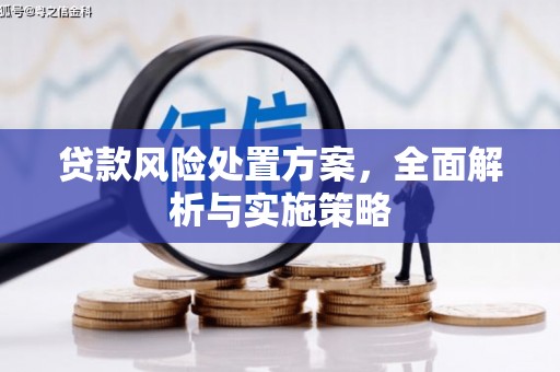 惠来贷款风险处置方案，全面解析与实施策略